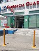 Negocio Farmacia Guadalajara, S.a. De C.v.