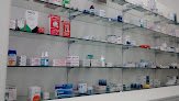 Negocio Farmacia Tlaxcala